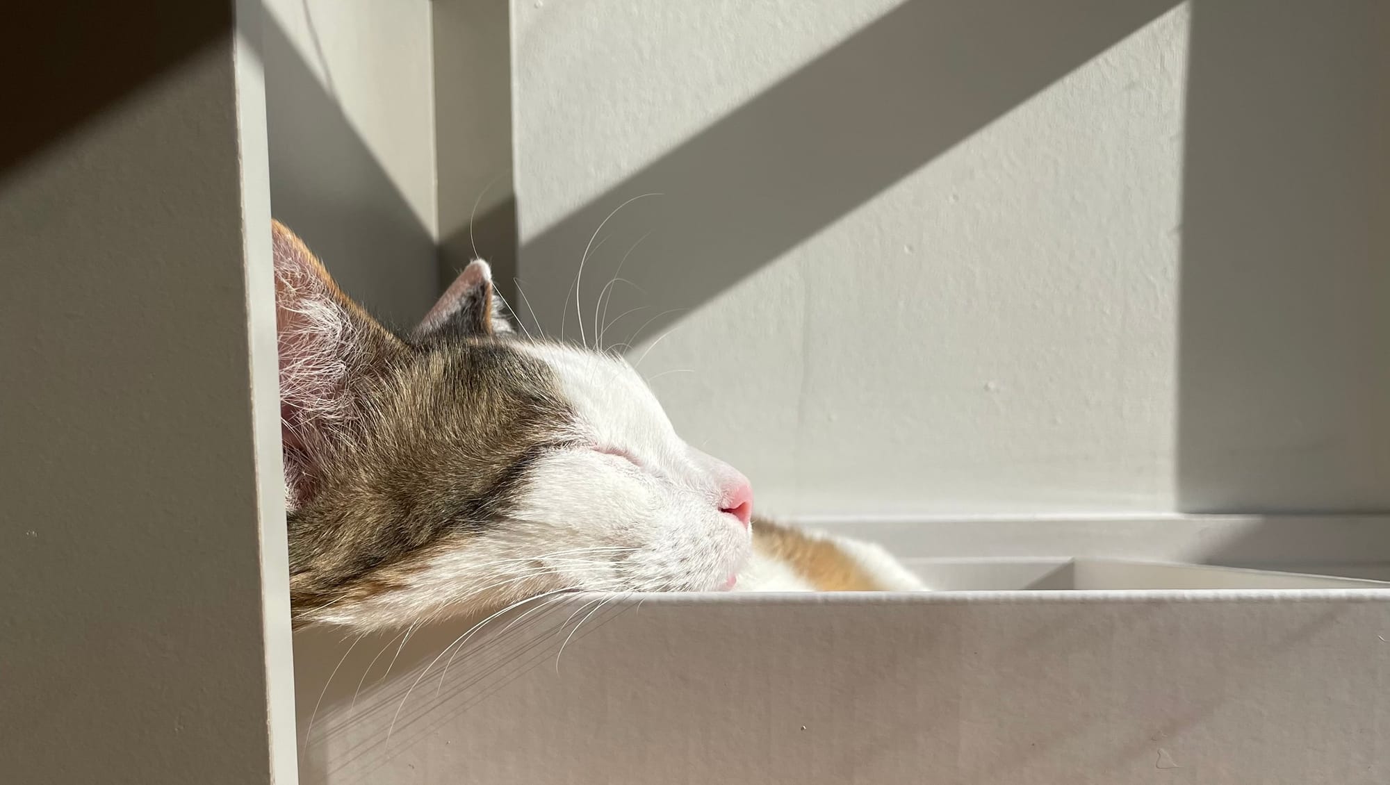 2025 - The eventful year